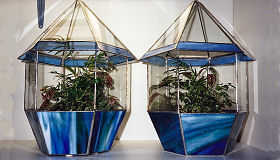 BlueStained Glass Terrariums